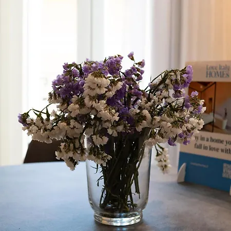 Quiete - Seta Di - Italy Homes Apartament *